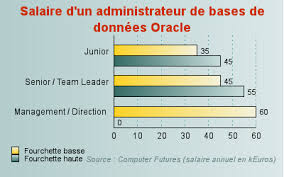 Administrateur De Bases Oracle Au Moins 60 000 Euros Pour Les Plus Experimentes