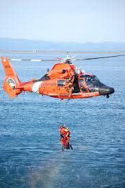 Coast Guard Sar Search Rescue Demonstration Coast Guard Coast Guard Rescue Swimmer Coast Guard Rescue