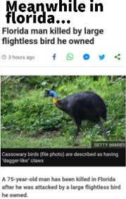 The Best Tags Are Gay Memes Memedroid