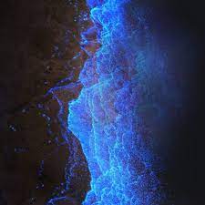 Night Ocean Glowing Waves Bioluminescent Plankton Art Print By Gargoyle X Small Metal Art Prints Bioluminescent Plankton Art