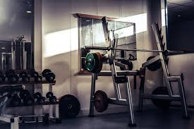 Sports gym arnold schwarzenegger actors bodybuilding wallpaper. 100 Gym Wallpapers Hq Download Free Images On Unsplash