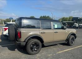 Image result for Brown 2025 Ford