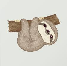 Weave Book Shelf Bin Joann Sloth Art Cute Animal Drawings Kawaii Sloth Drawing