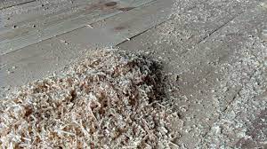 Pressure treated wood has been treated with a pesticide and other chemicals so the saw dust would not be good for food crops. Garden Plot Should You Use Sawdust Or Fine Wood Chips As Mulch Wtop