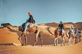 Posted on 16 december 2013. The Top 10 Dubai Walking Tours W Prices Page 4
