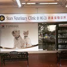 11 24 Hour Vets In Singapore Sorted By Location To Bookmark For Emergencies At 3am