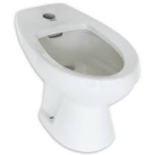 Washlet C100 Elongated Toilet Bidet Seat Bidet Bidets American Standard