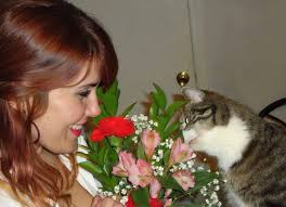 Haley, saw this and immediately thought of you. 💜