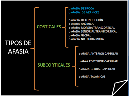 Maybe you would like to learn more about one of these? Tipos De Afasia Ceprta