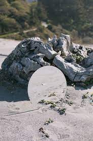 Landscapes In Mirrors Mirror Photography Photography Reflection Perspective Photography