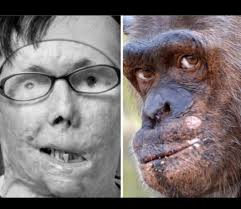 What is the movie about a genetically enhanced dog?