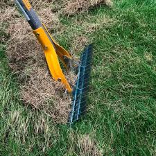 How do i dethatch my lawn? Beginners Guide To Lawn Dethatching The What Why And How