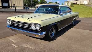 Image result for Marlin Silver 1966 AMC