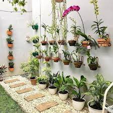 Di halaman rumah, sudah bunga sepatu ini juga mudah ditanam. Gambar Taman Bunga Di Halaman Rumah