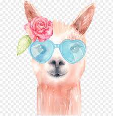 Maybe you would like to learn more about one of these? Llama Watercolor Watercolor Llama Clipart Png Image With Transparent Background Toppng