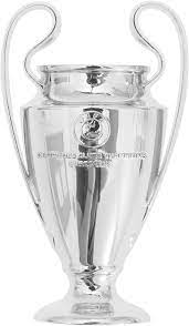 The trophy weighs 7.5 kilograms, but it is easy to handle and light enough to give us a splash in the cheerful scene we saw with bayern munich last year. Amazon Com Uefa Champions League 2d Football Soccer Trophy Magnet One Size Silver Clothing