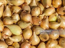 Agri Commodities Potato Onion Prices Fall The Economic Times