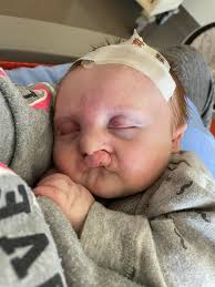 What is this little guy and why is he moving around like this?