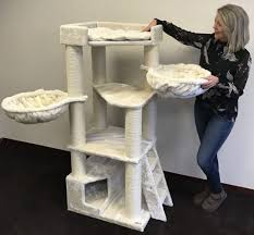 Claw trimming once you get your kitten home. Why This Is The Best Cat Tree For Maine Coons Purr Craze