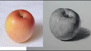 Aug 20, 2018 · the still life is a popular genre because the artist has total control over the subject of the painting, the lighting, and the context. Still Life With Fruit Drawing In Pencil Youtube