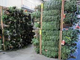 Maybe you would like to learn more about one of these? Buy Christmas Trees Wreaths Jersey City Jcfamilies