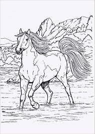 Ausmalbilder ausdrucken pferde ausmalbilder pferde 16 ausmalbilder kinder. Unique Ausmalbild Pferd Mit Fohlen Farbung Malvorlagen Malvorlagenfurkinder Ausmalbilder Pferde Zum Ausdrucken Ausmalbilder Pferde Malvorlagen Pferde