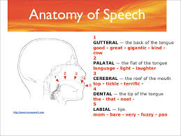 See our english and american spelling dictionary. Pronunciation Pronunciation