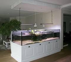 Aqua Terrarium Fur Wasserschildkroten Aquarium 250 X 120 Cm Hohe 60 Cm Wasserstandshohe Wasserschildkroten Wasserschildkroten Aquarium Schildkrotenaquarium