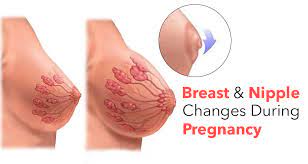 Maybe you would like to learn more about one of these? Surprising Changes In Breasts And Nipples During Pregnancy