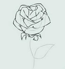 Wildflower isn't your typical floral shop. Method Of Drawing Sunflowers And Red Roses Steemkr