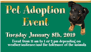 Puppies for adoption in palm beach county. Pet Adoption Event Palm Beach County Sheriff S Office
