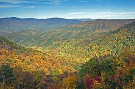 Cloudland canyon state park weather. 13 Destinations To See Fall Leaves In The South Georgia State Parks State Parks Blairsville