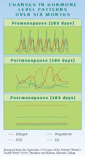 pin on menopause change from menstural to perimenopause to