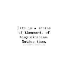 Cherish Every Moment You Never Know When It S The Last Time You See Someone You Never Know When It S Your Cherish Life Quotes Last Day Quotes Moments Quotes