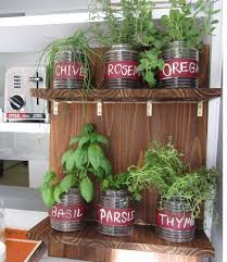 Still, a wall near a bright window will give you lots of options for what to grow. Grow An Indoor Garden With Fresh Herbs Garden Club Indoor Herb Garden Herbs Indoors Flower Pot Design