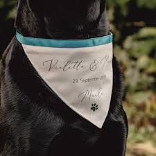 Das liegt vor allem am vielen zucker im eis. Hund Zur Hochzeit Die Besten Tipps Ideen Euer Tier Mit Einzubeziehen