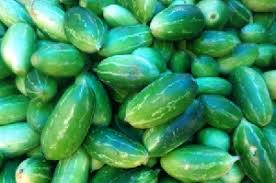 Image result for Coccinia senensis