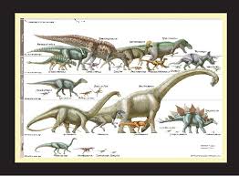Tuatara T Rex Double Sided Puzzle With Dinosaurs Image Tray