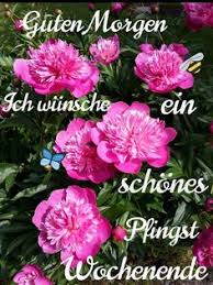 Specify a phone number to launch appmessenger. 91 Pfingsten Ideen In 2021 Pfingsten Frohe Pfingsten Pfingstgrusse