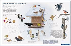 Buntes Treiben Am Futterhaus Futterhaus Poster Shop Vogel Im Winter