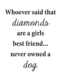 Automama said yes)‏ @chrysolitestone 4 нояб. Whoever Said Diamonds Are A Girls Best Friend Never Had A Dog 8 5x11 Quot Instant Digital Bestfriend Quotes For Girls Diamond Are A Girls Best Friend Sayings