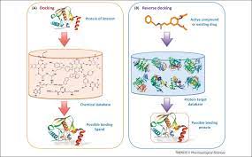 Computational Methods For Drug Design And Discovery Focus On China Trends In Pharmacological Sciences