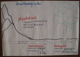 Die biologische verwitterung umfasst sowohl physikalische als auch chemische prozesse: Privatgymnasium Weinheim