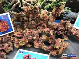 Custom warna dan ukuran plus model. Artificial Rock From Ats Looks Better Than The Real Thing Reef Builders The Reef And Saltwater Aquarium Blog