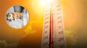 Clima en Los Mochis: calor de hasta 40 grados y posibilidad de lluvia este sábado 22 de agosto