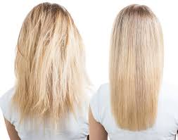 Hair salon near me your hair is usually one of your most prized possessions, whether you realize it. Best Hair Salon In Orlando Hair Salon Orlando Best Hair Salons Winter Park Fl