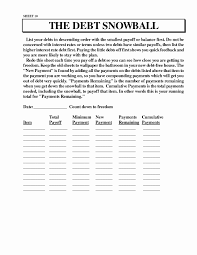 Snowball Debt Plan Worksheet Jasonkellyphoto Co