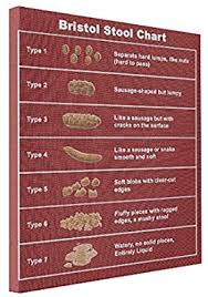 Vetiver Abstract Art Canvas Bristol Stool Chart Scale Canvas Print
