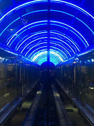 Blue Train Neon Lights Aesthetic Weight Training For Beginners Gym For Beginners Training Program Workout Routines