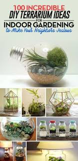 100 Incredible Diy Terrarium Ideas For Indoor Gardening To Make Your Neighbors Jealous We Are Want To Say Thanks If You Like To Terrarium Diy Plants Terrarium